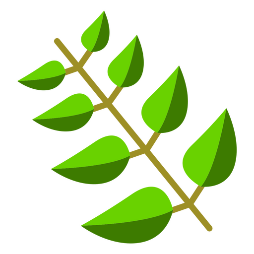 Icono de naturaleza botánica de rama Diseño PNG