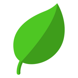 Icono botánico de hoja Transparent PNG
