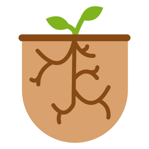 Plant growth botanical icon PNG Design