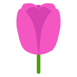 Tulip botanical icon