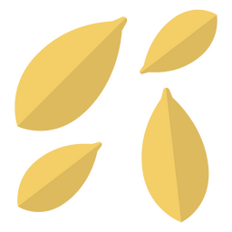 Ícone botânico da natureza de sementes Desenho PNG