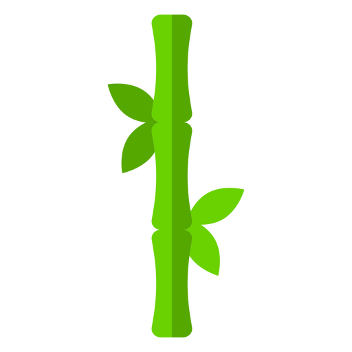 Bambu ícone botânico da natureza Desenho PNG