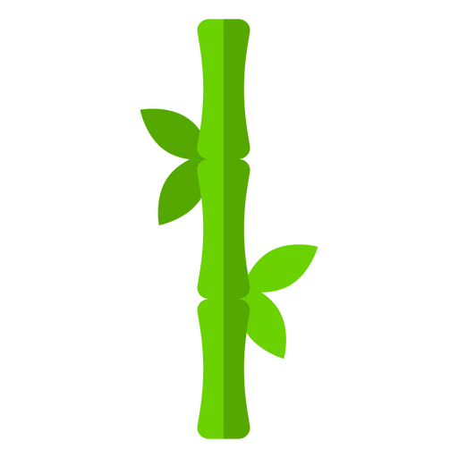 Botanische Ikone der Bambusnatur PNG-Design