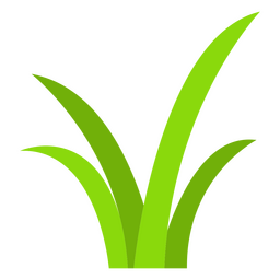 Botanische Ikone der Grasnatur PNG-Design