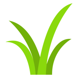Grass nature botanical icon PNG Design