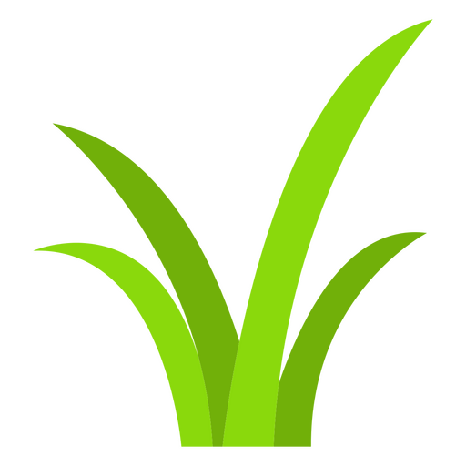 Botanische Ikone der Grasnatur PNG-Design