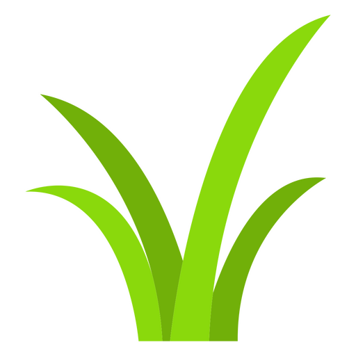 Grass nature botanical icon PNG Design