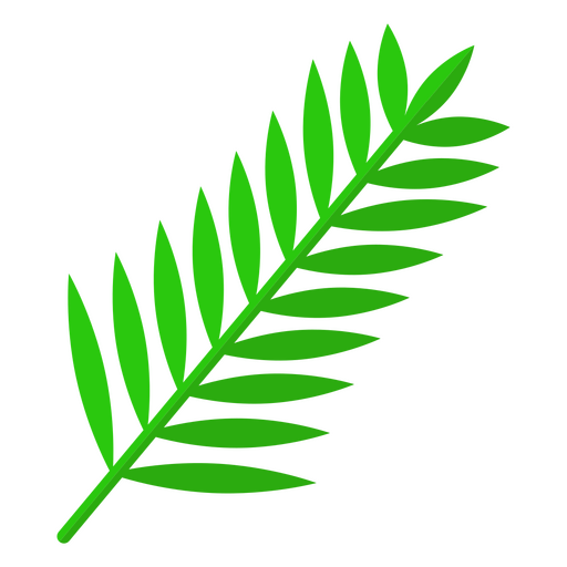 Branch leaves nature botanical icon