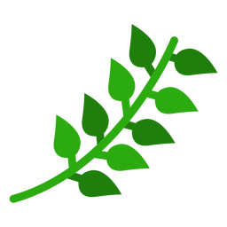 Ícone botânico da natureza do ramo