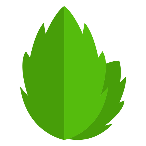 Leaves botanical icon