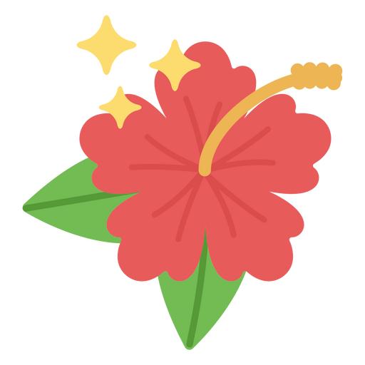 brilhos planos de hibisco Desenho PNG