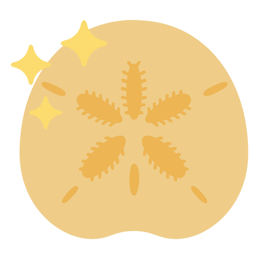 Funkelnder Sanddollar PNG-Design