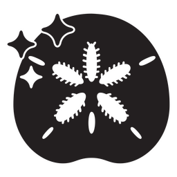 Sanddollar mit Scheinen PNG-Design