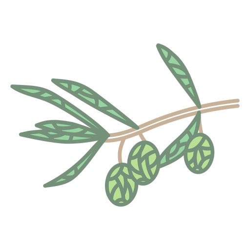 Polygonale Oliven auf einem Ast
