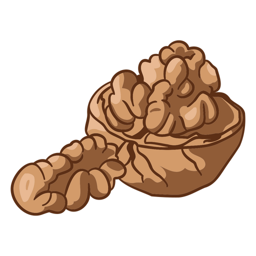 Nuts illustration food