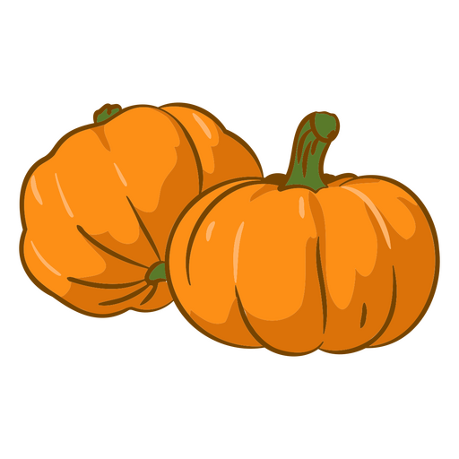 Pumpkin illustration food
