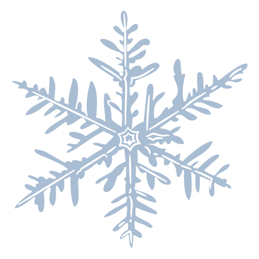 Snowflake cutout  PNG Design