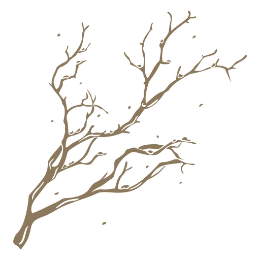 Winter tree branch PNG Design