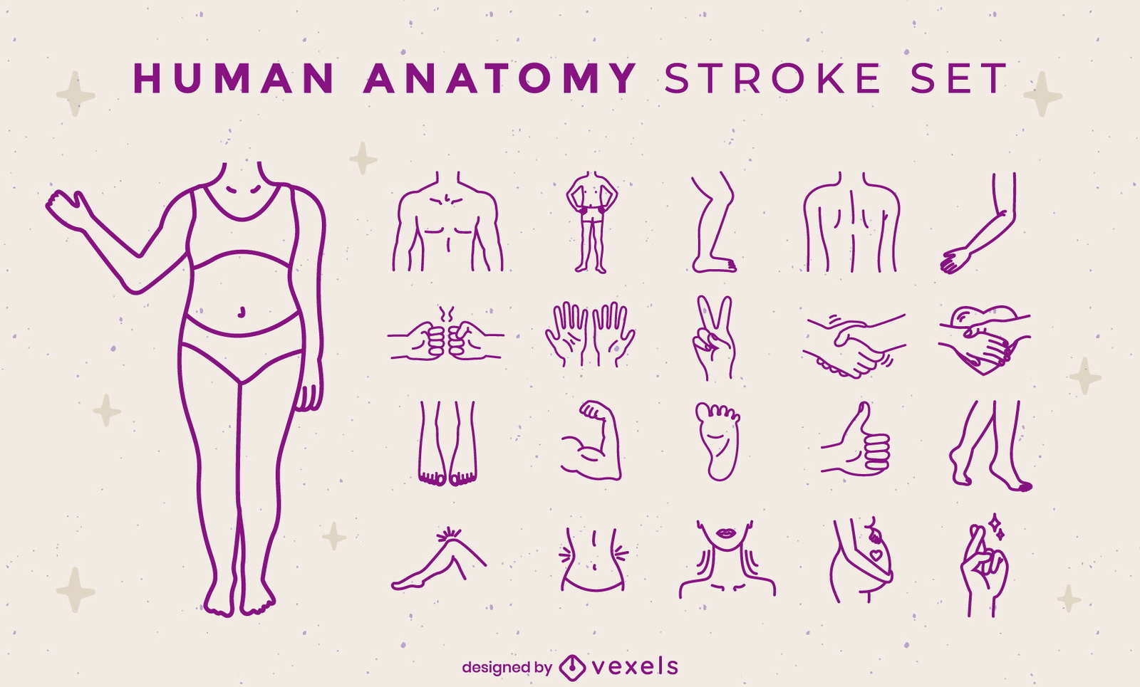 Schlaganfall-Set für menschliche Anatomie Körperteile