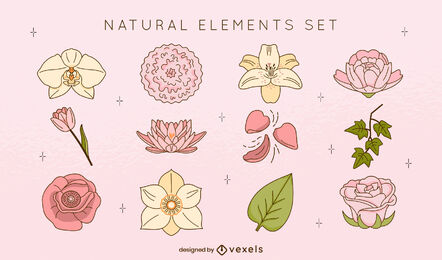 Flowers and leaves natural elements color stroke