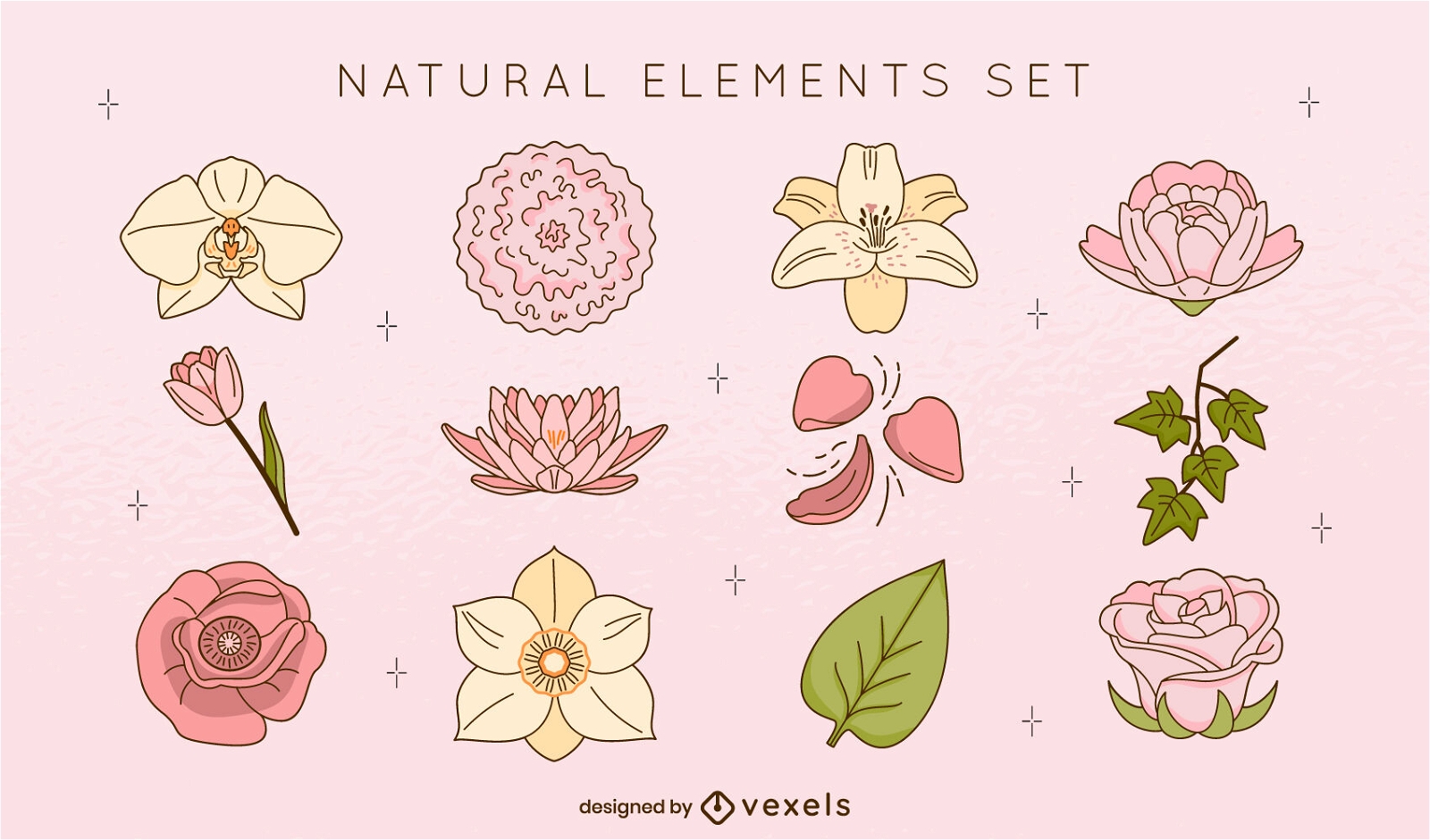 Blumen und Blätter natürliche Elemente Farbstrich