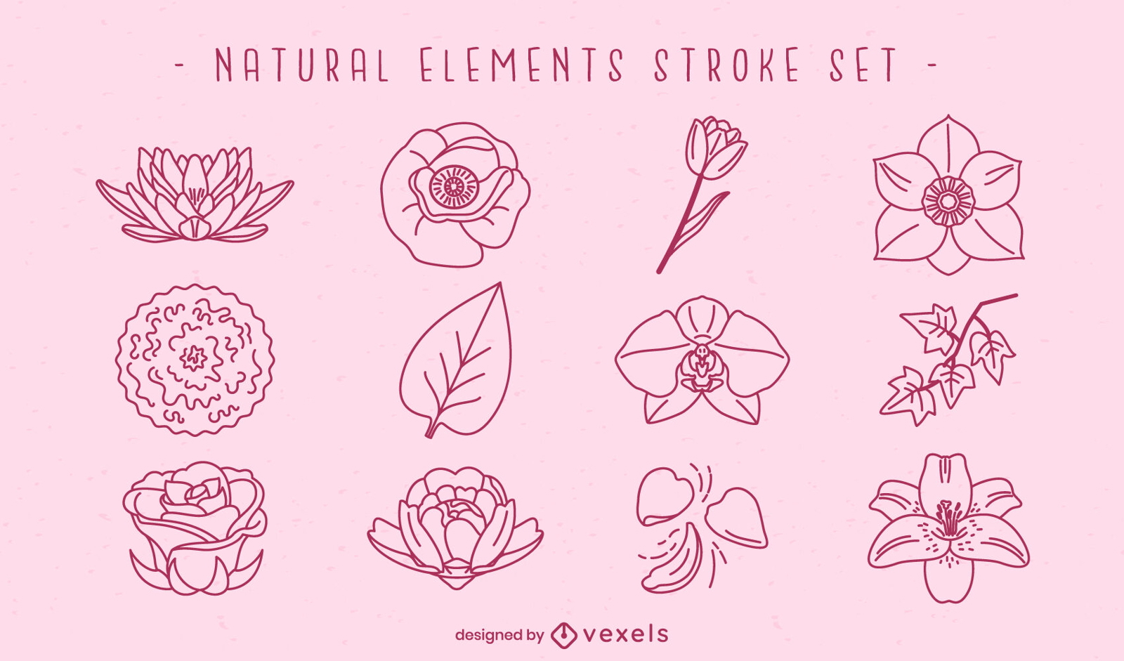 Traço de elementos naturais de flores e folhas