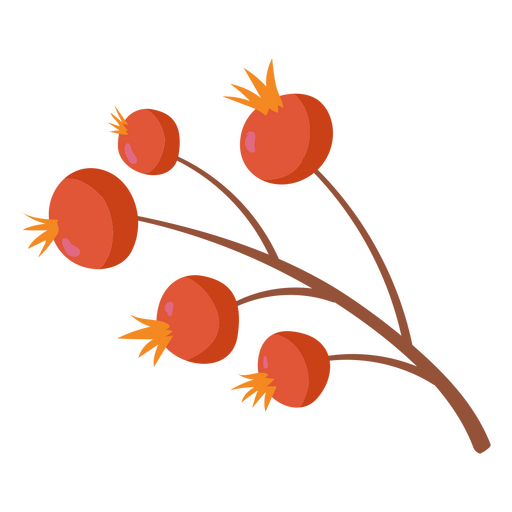 Ripe red berries branch PNG Design