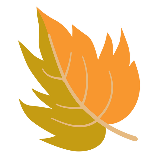 Thanksgiving flat leaf PNG Design