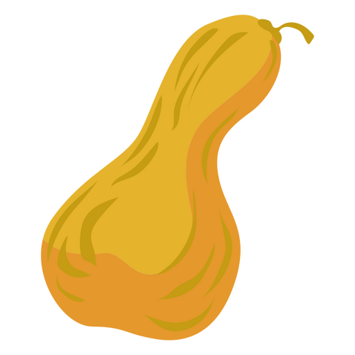 Abóbora Butternut Desenho PNG