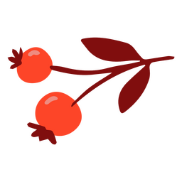 Bagas de outono em um galho Desenho PNG