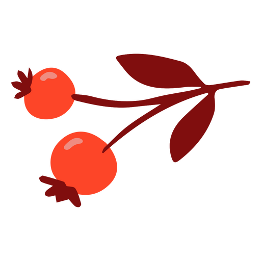 Autumn berries on a branch PNG Design