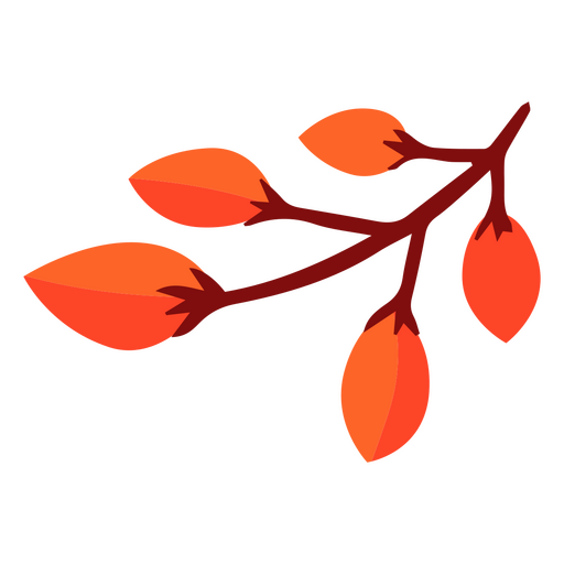 Autumn acorn branch PNG Design