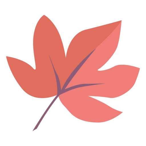 Cute fallen autumn leaf PNG Design