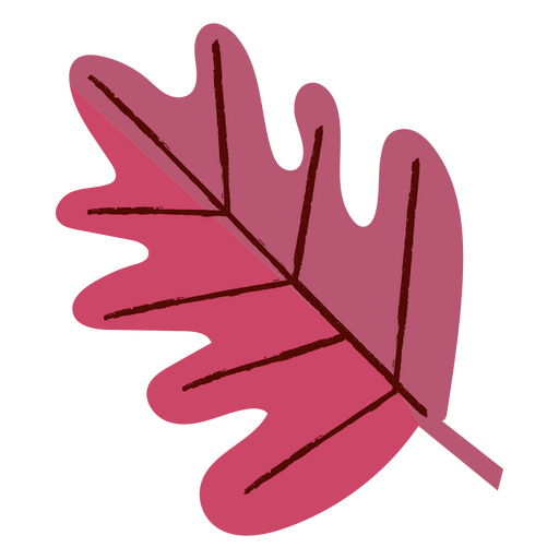 Pretty autumn leaf PNG Design