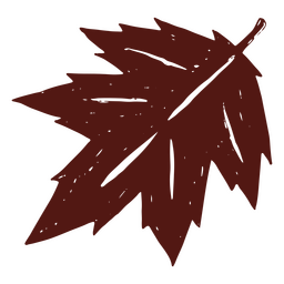 Hoja caída de otoño Diseño PNG