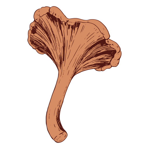 Vista inferior detalhada do cogumelo Desenho PNG