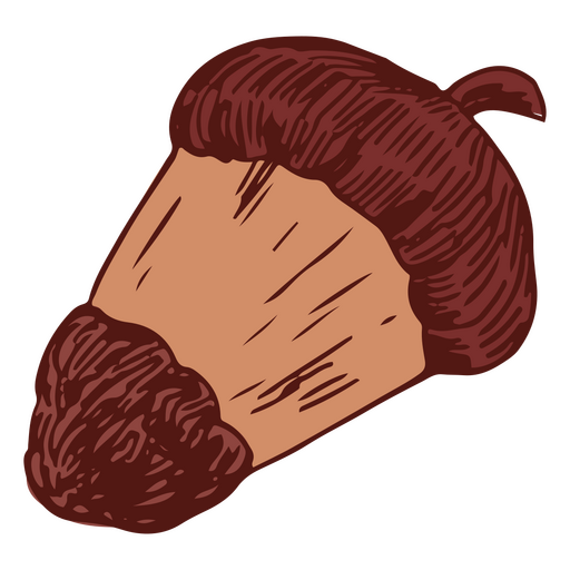 Detailed acorn  PNG Design