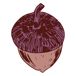 Detailed acorn topview PNG Design