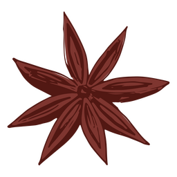 Anise Star PNG & SVG Design For T-Shirts