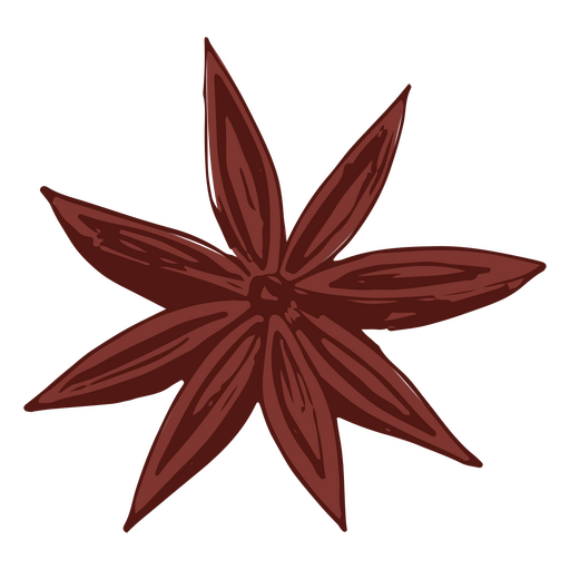 Anise star PNG Design