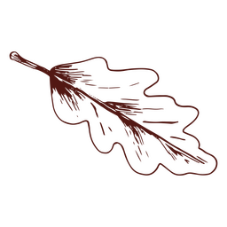 Folha de carvalho de outono desenhada à mão Desenho PNG
