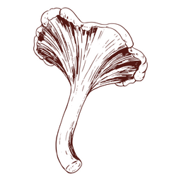 Mushroom bottom view hand drawn PNG Design