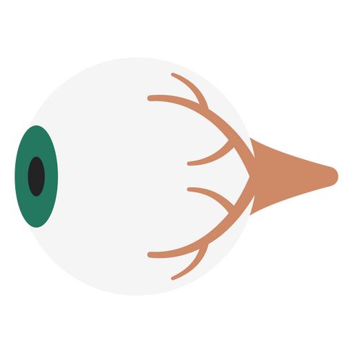 Human eyeball icon PNG Design