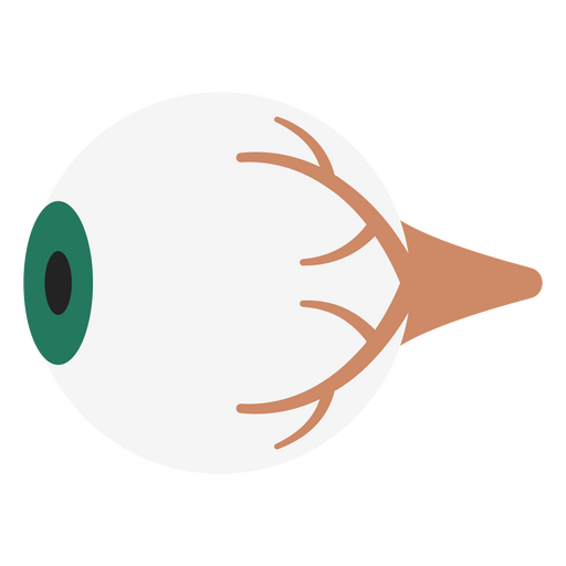 ícone do globo ocular humano Desenho PNG