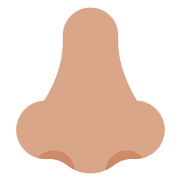 Frontview do ícone do nariz humano Desenho PNG