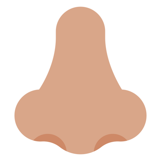 Vista frontal del icono de la nariz humana Diseño PNG