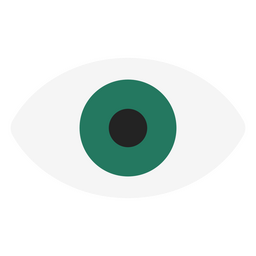 Human green eye icon PNG Design Transparent PNG