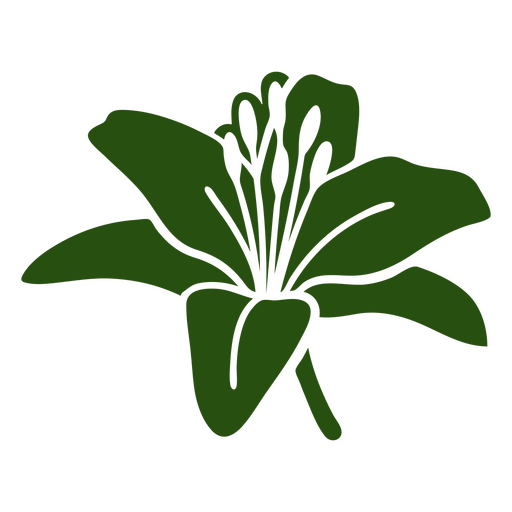 Recorte de flor de lirio Diseño PNG