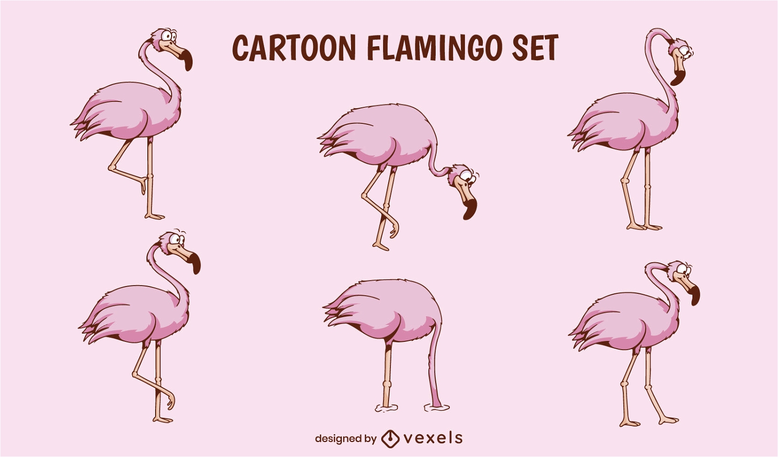 Funny pink flamingo cartoon animal set