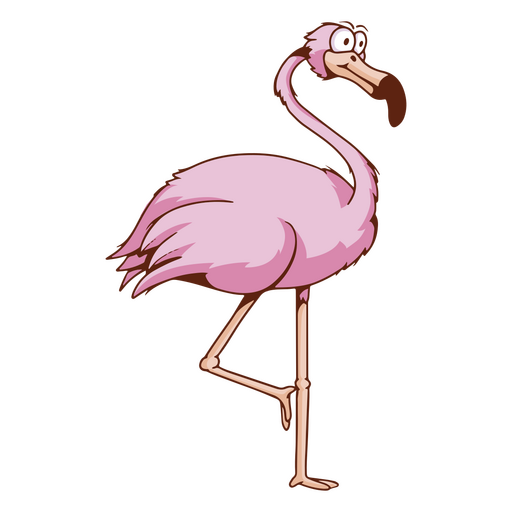 Tropischer Vogelkarikatur des Flamingos PNG-Design